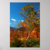 Autumn Foliage Poster (Voorkant)
