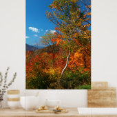 Autumn Foliage Poster (Keuken)