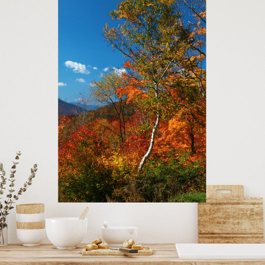Autumn Foliage Poster (Keuken)