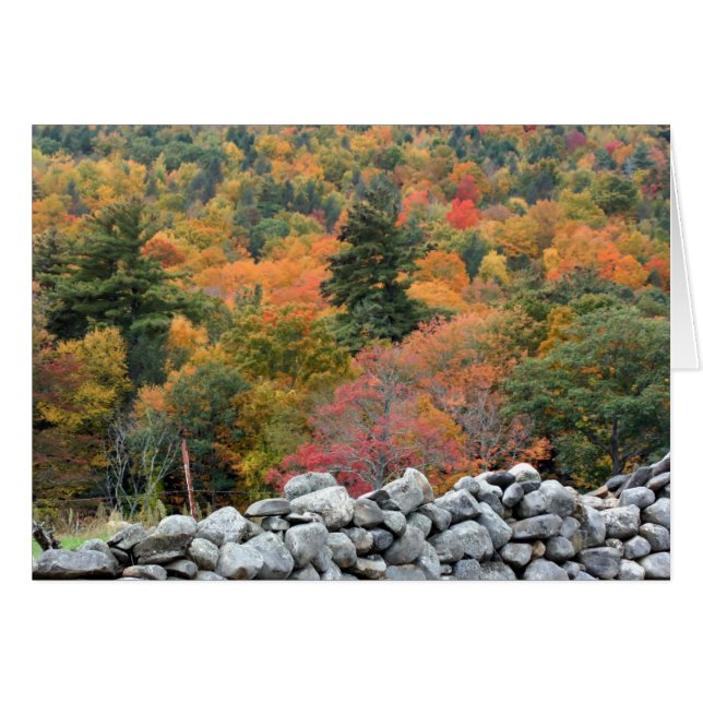 Autumn Foliage Stone Wall-fotografische kaart (Voorkant Horizontaal)