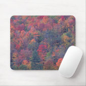 Autumn foliage van een gemengd hardhouten bos muismat (Met muis)