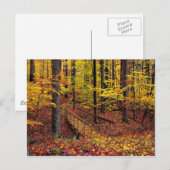 Autumn Footbridge, briefkaart (Voorkant / Achterkant)