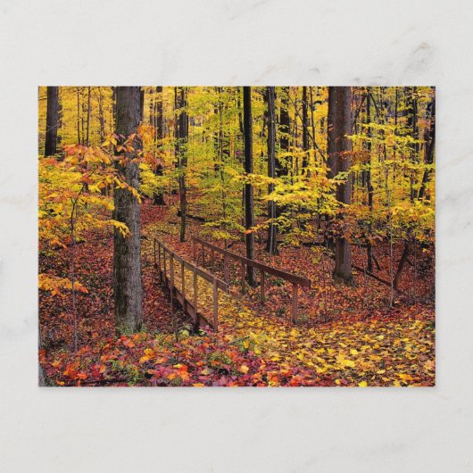 Autumn Footbridge, briefkaart (Voorkant)