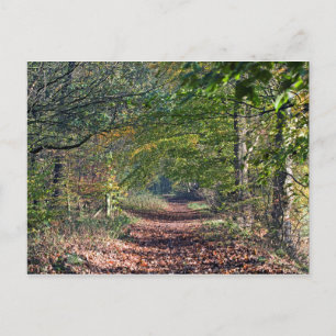 Autumn Footpath Poynton Cheshire Briefkaart