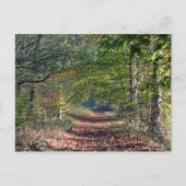Autumn Footpath Poynton Cheshire Briefkaart (Voorkant)