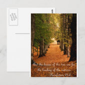Autumn Forest Briefkaart (Voorkant / Achterkant)