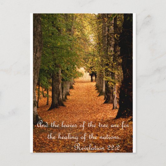Autumn Forest Briefkaart (Voorkant)