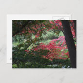 Autumn Forest Briefkaart (Voorkant / Achterkant)