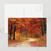 Autumn Forest Briefkaart (Voorkant / Achterkant)