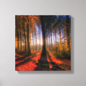 Autumn Forest Canvas Afdruk (Voorkant)