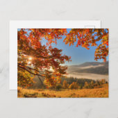 Autumn Forest in de bergen Briefkaart (Voorkant / Achterkant)