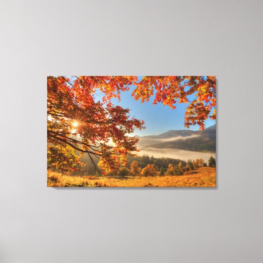 Autumn Forest in de bergen Canvas Afdruk (Voorkant)