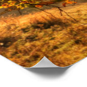 Autumn Forest in de bergen Poster (Hoek)