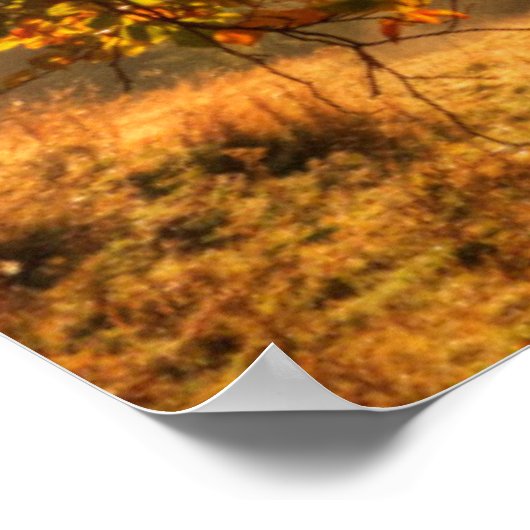 Autumn Forest in de bergen Poster (Hoek)