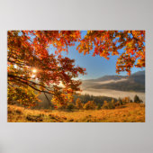 Autumn Forest in de bergen Poster (Voorkant)