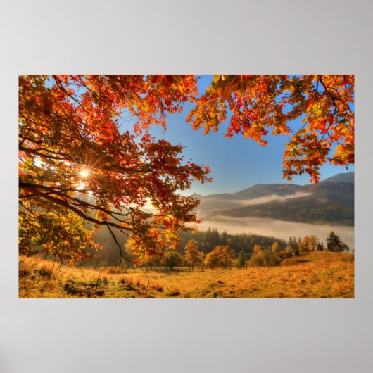 Autumn Forest in de bergen Poster (Voorkant)