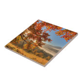 Autumn Forest in de bergen Tegeltje (Zijkant)
