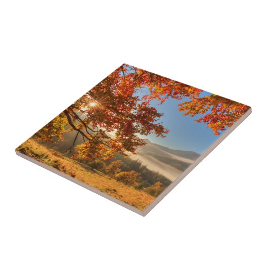 Autumn Forest in de bergen Tegeltje (Zijkant)