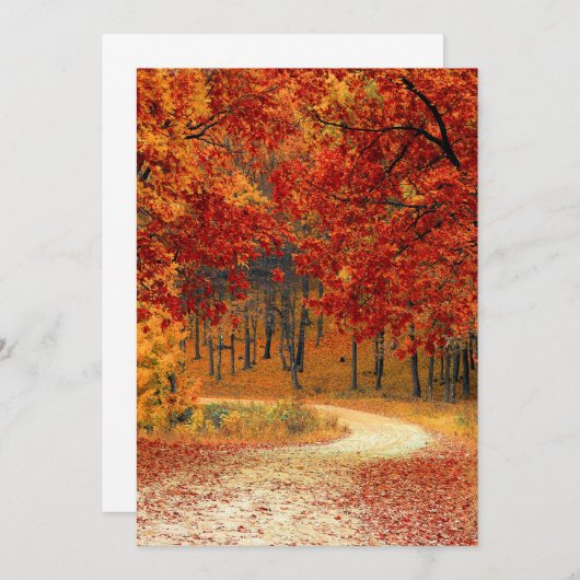 Autumn Forest Kaart (Voorkant / Achterkant)