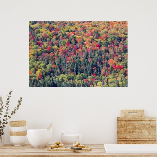 Autumn Forest Landscape Poster (Keuken)