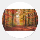 Autumn Forest Path Ronde Sticker (Voorkant)