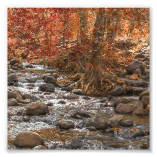 AUTUMN FOREST RIVER SEDONA ARIZONA FOTO AFDRUK