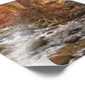 AUTUMN FOREST RIVER SEDONA ARIZONA FOTO AFDRUK (Hoek)