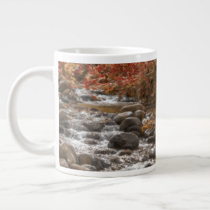 AUTUMN FOREST RIVER SEDONA ARIZONA GROTE KOFFIEKOP