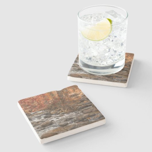 AUTUMN FOREST RIVER SEDONA ARIZONA STENEN ONDERZETTER (Zijkant)