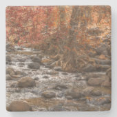 AUTUMN FOREST RIVER SEDONA ARIZONA STENEN ONDERZETTER (Voorkant)
