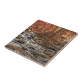 AUTUMN FOREST RIVER SEDONA ARIZONA TEGELTJE (Zijkant)