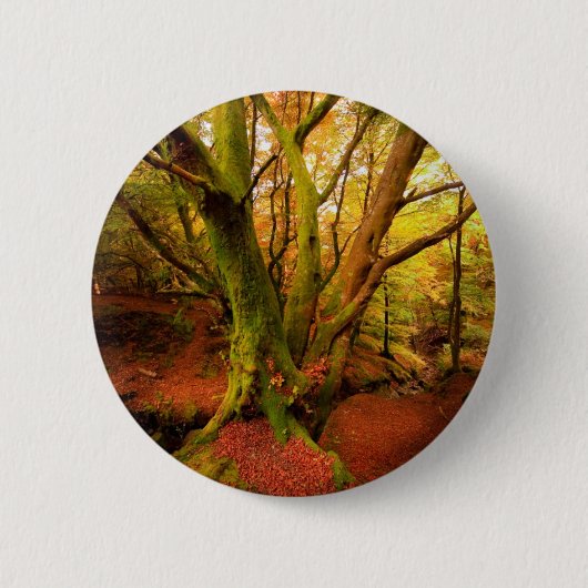 Autumn Forest Ronde Button 5,7 Cm (Voorkant)