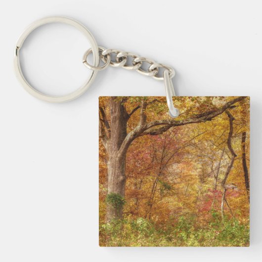 Autumn Forest Sleutelhanger (Voorkant)