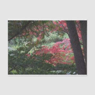 Autumn Forest Tissuepapier