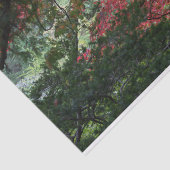 Autumn Forest Tissuepapier (Detail)