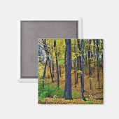 Autumn Forest, West Bend, Wisconsin Magneet (Voorkant / Achterkant)