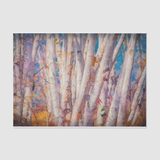 Autumn Forest White Birch Trees Tissuepapier (Voorkant)
