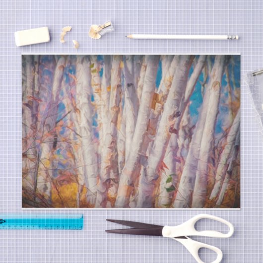 Autumn Forest White Birch Trees Tissuepapier (Craft)