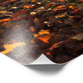 Autumn  foto afdruk (Hoek)