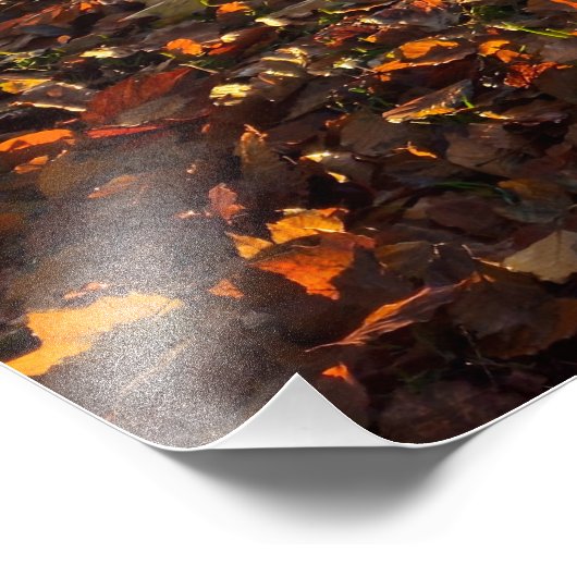 Autumn  foto afdruk (Hoek)