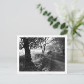 Autumn Frost in Cheshire Briefkaart (Staand voorkant)