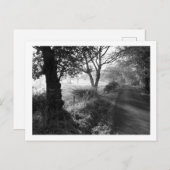 Autumn Frost in Cheshire Briefkaart (Voorkant / Achterkant)