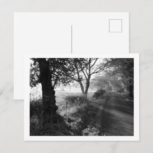 Autumn Frost in Cheshire Briefkaart (Voorkant / Achterkant)