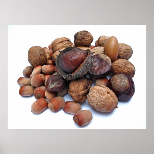 Autumn Fruits Poster (Voorkant)
