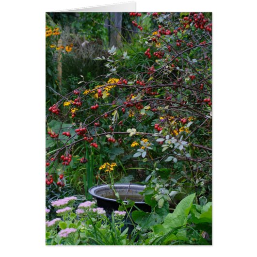 Autumn Garden (Voorkant)