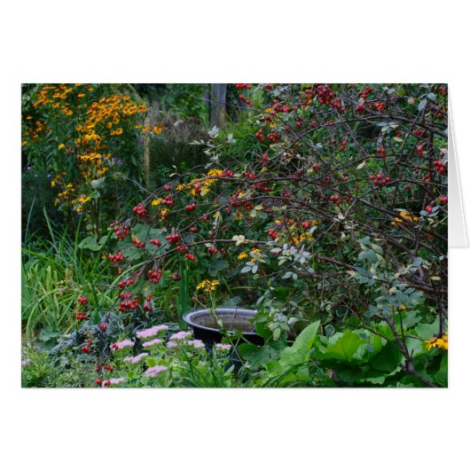 Autumn Garden (Voorkant Horizontaal)