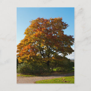 Autumn Garden, Briefkaart Sint-Petersburg Rusland