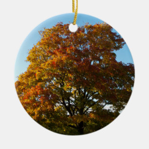 Autumn Garden, Sint-Petersburg Rusland Ornament