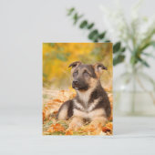 Autumn German shepherd puppy Briefkaart (Staand voorkant)