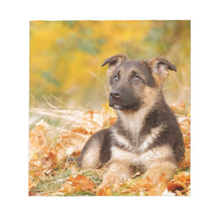 Autumn German shepherd puppy Notitieblok
